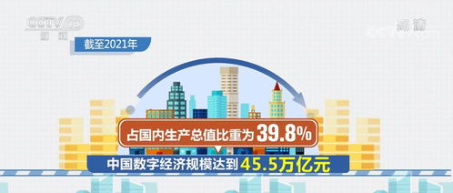 电子商务持续繁荣，服务业数字化按下快进键